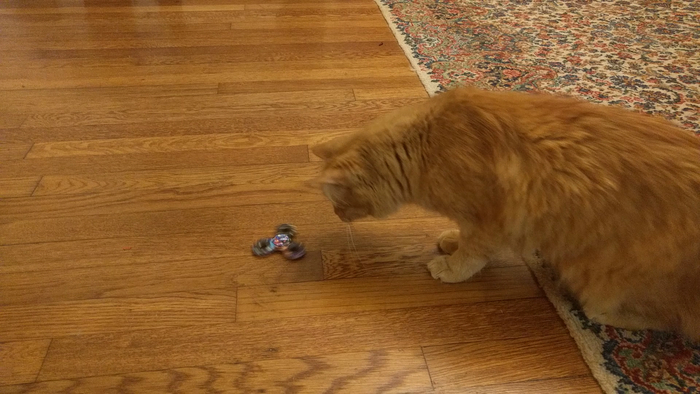 fritz inspects a fidget spinner