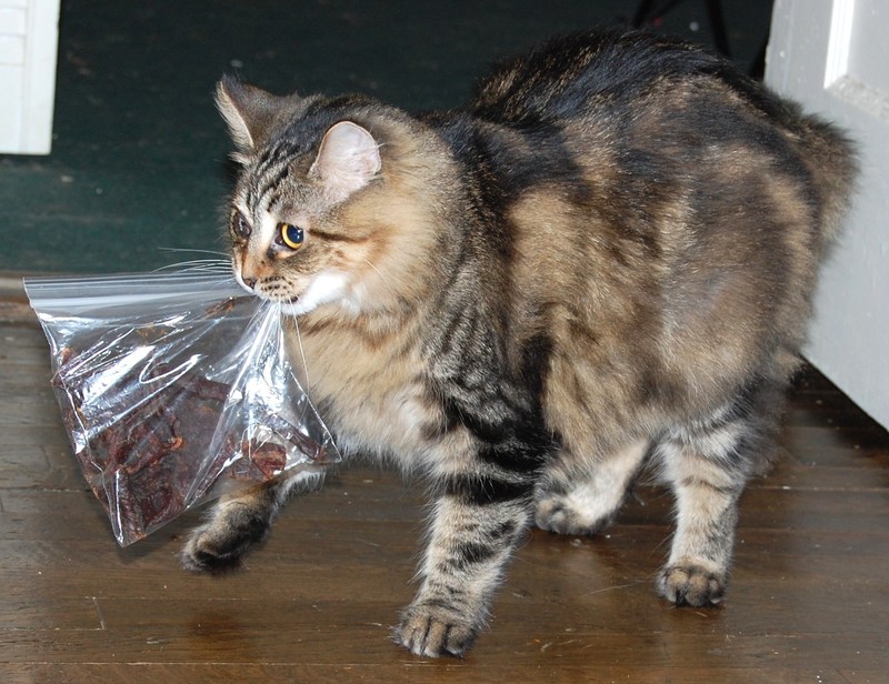 drusilla steals bacon in a bag