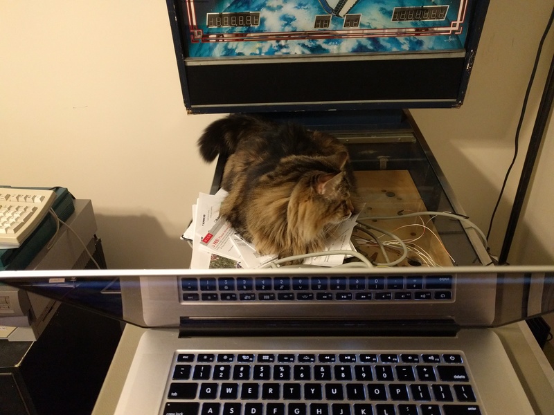 drusilla finds important papers and sits on all of them