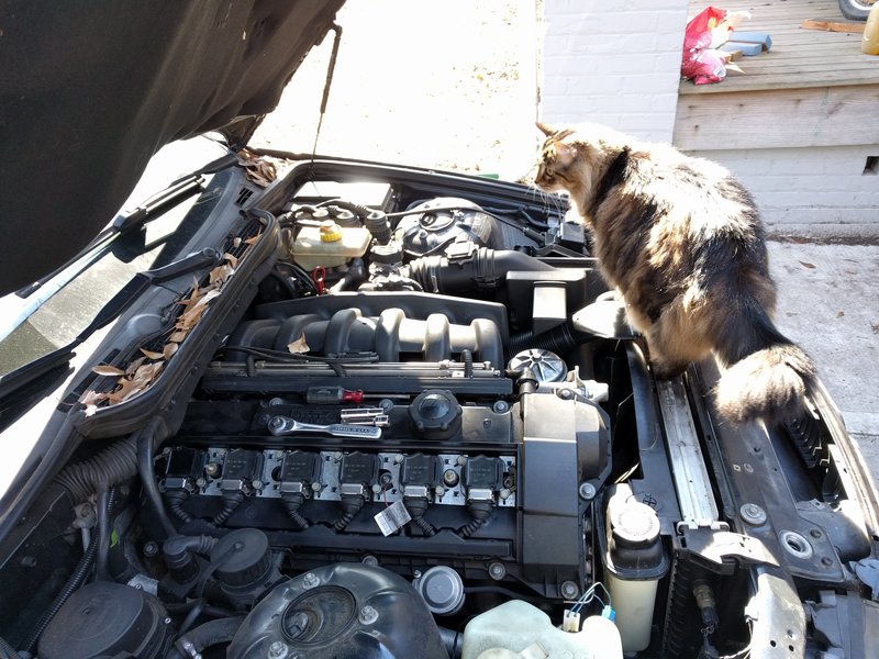 drusilla inspects a poorly maintained engine