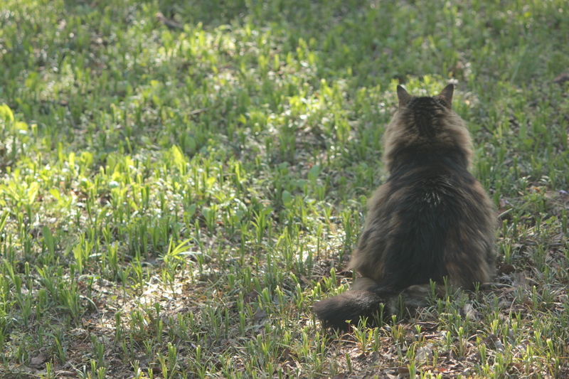 drusilla looks into the distance