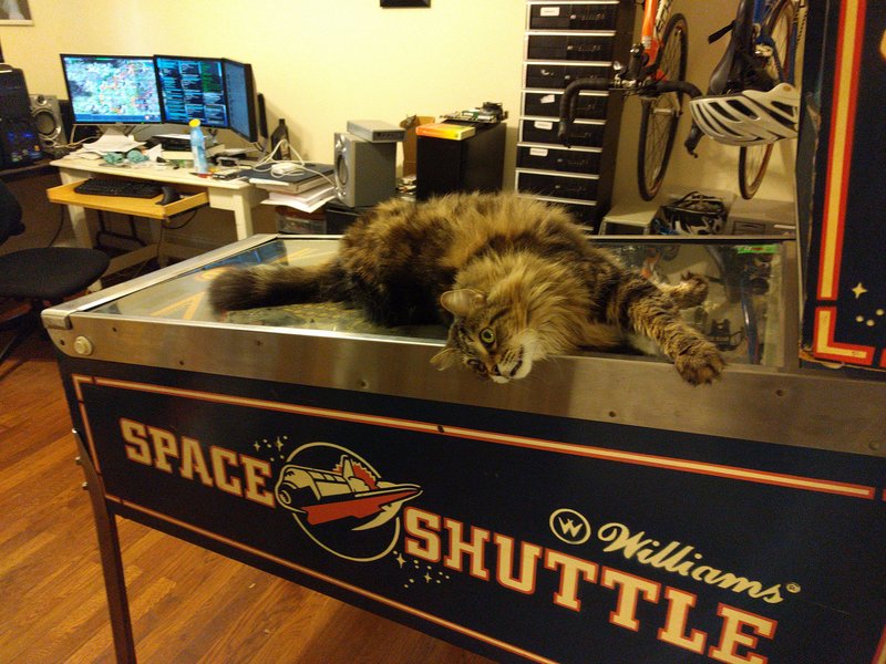 drusilla lays on a pinball machine